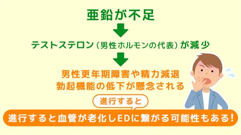 亜鉛 ムラムラ|亜鉛とテストステロンはどのような関係がある？筋トレや勃起な .